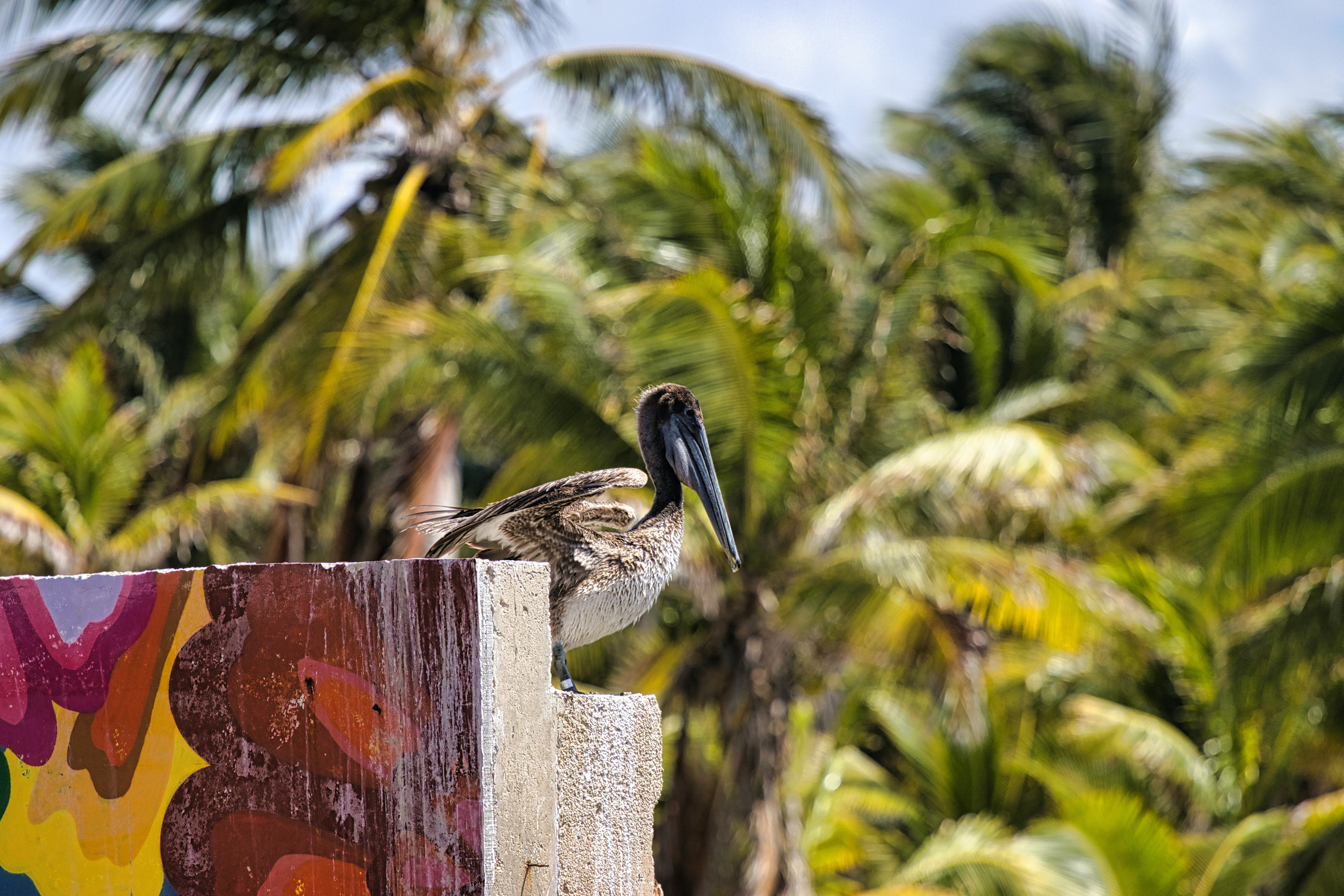 honolulu